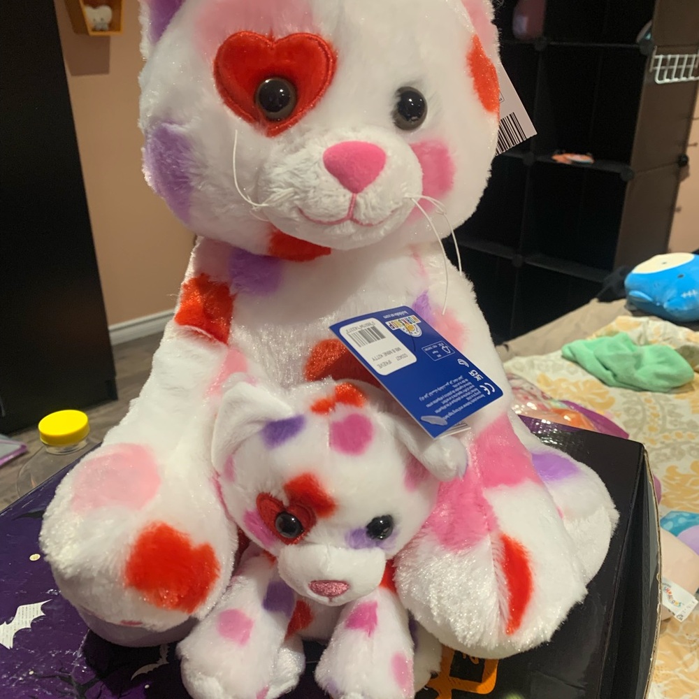 Build a bear valentines cats